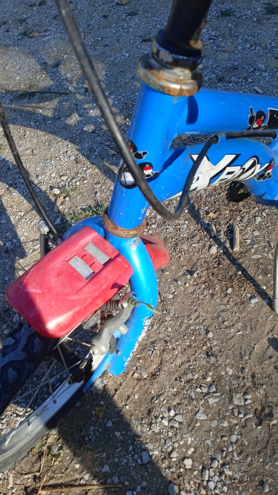 🚲 Bici da bambino 14" – blu, usata 5